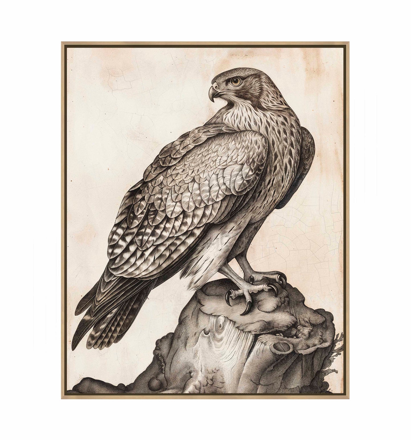 Majestic Sentinel - Hawk - Gallery Wrapped Canvas