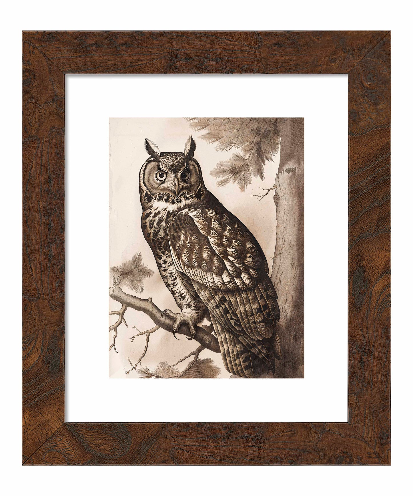Silent Guardian - Great Horned Owl - Art Prints