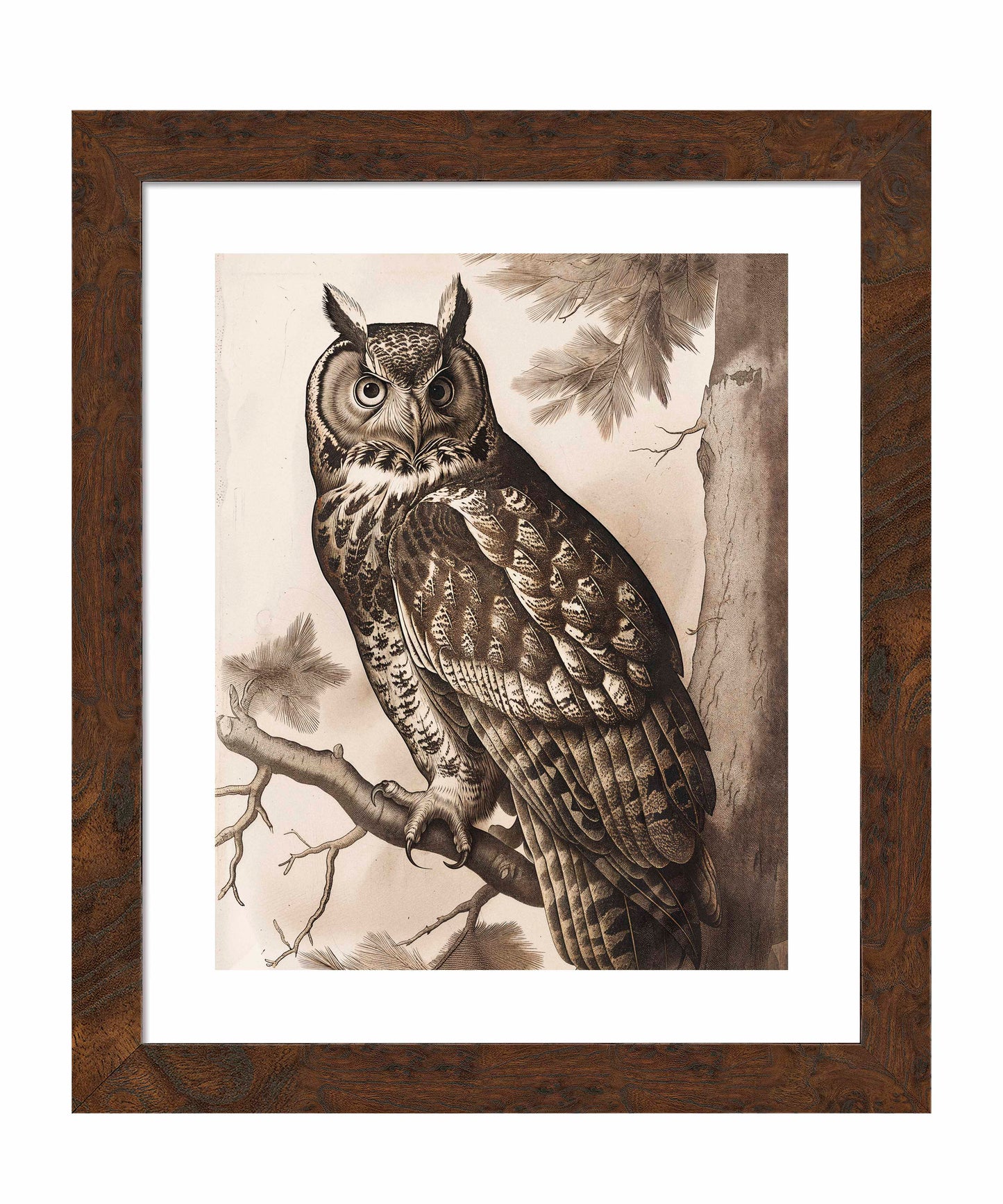 Silent Guardian - Great Horned Owl - Art Prints