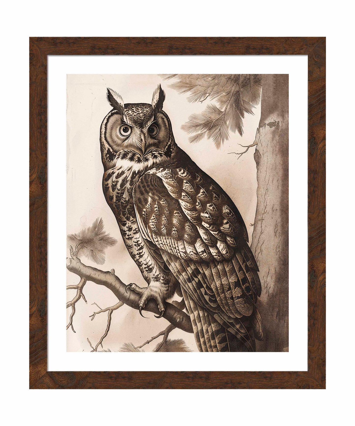 Silent Guardian - Great Horned Owl - Art Prints