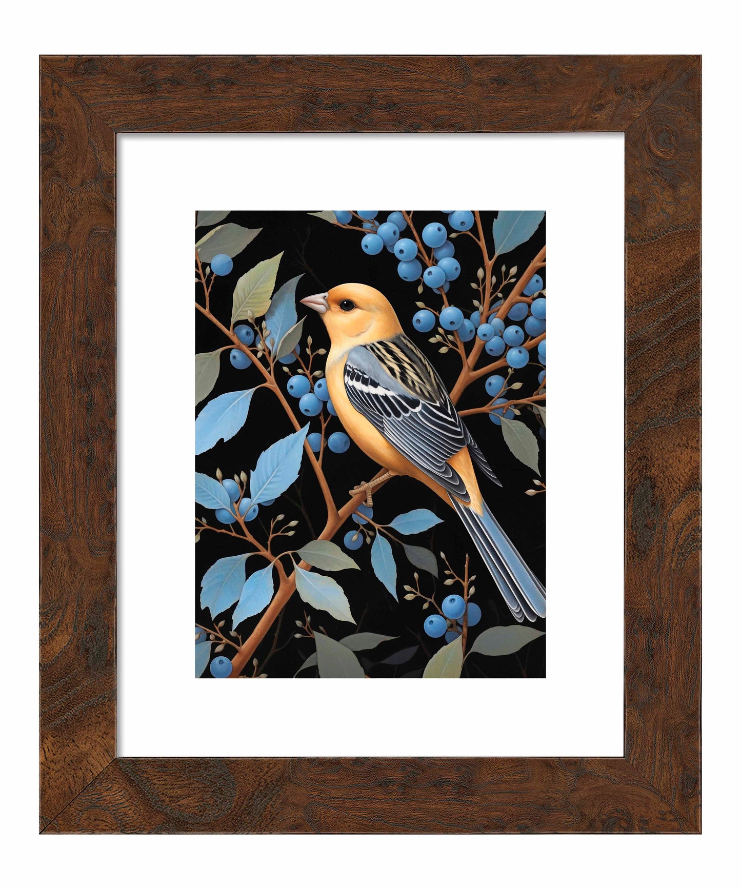 Bounty of Blue - Oriole Amidst Berries - Art Prints