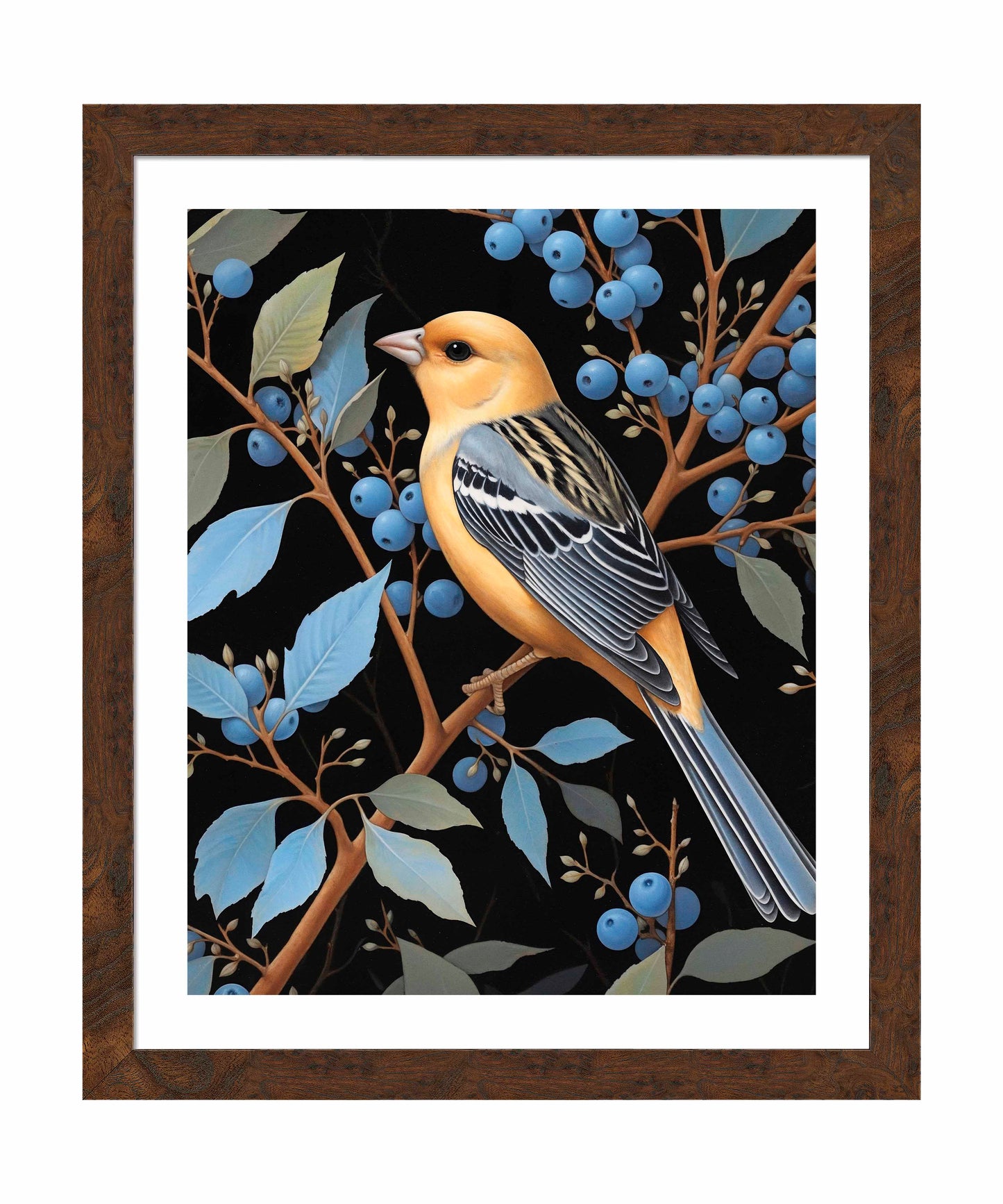Bounty of Blue - Oriole Amidst Berries - Art Prints