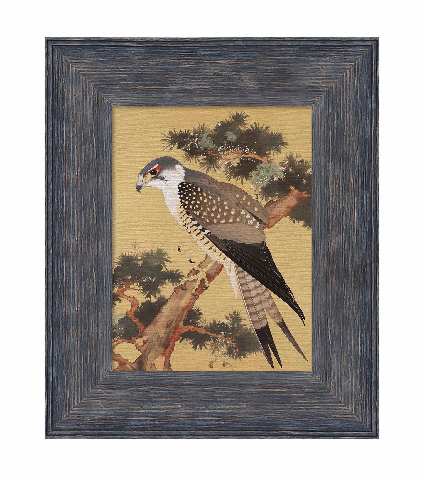 Graceful Sentinel - Falcon in Pine Grove - Limited Edition Canvas