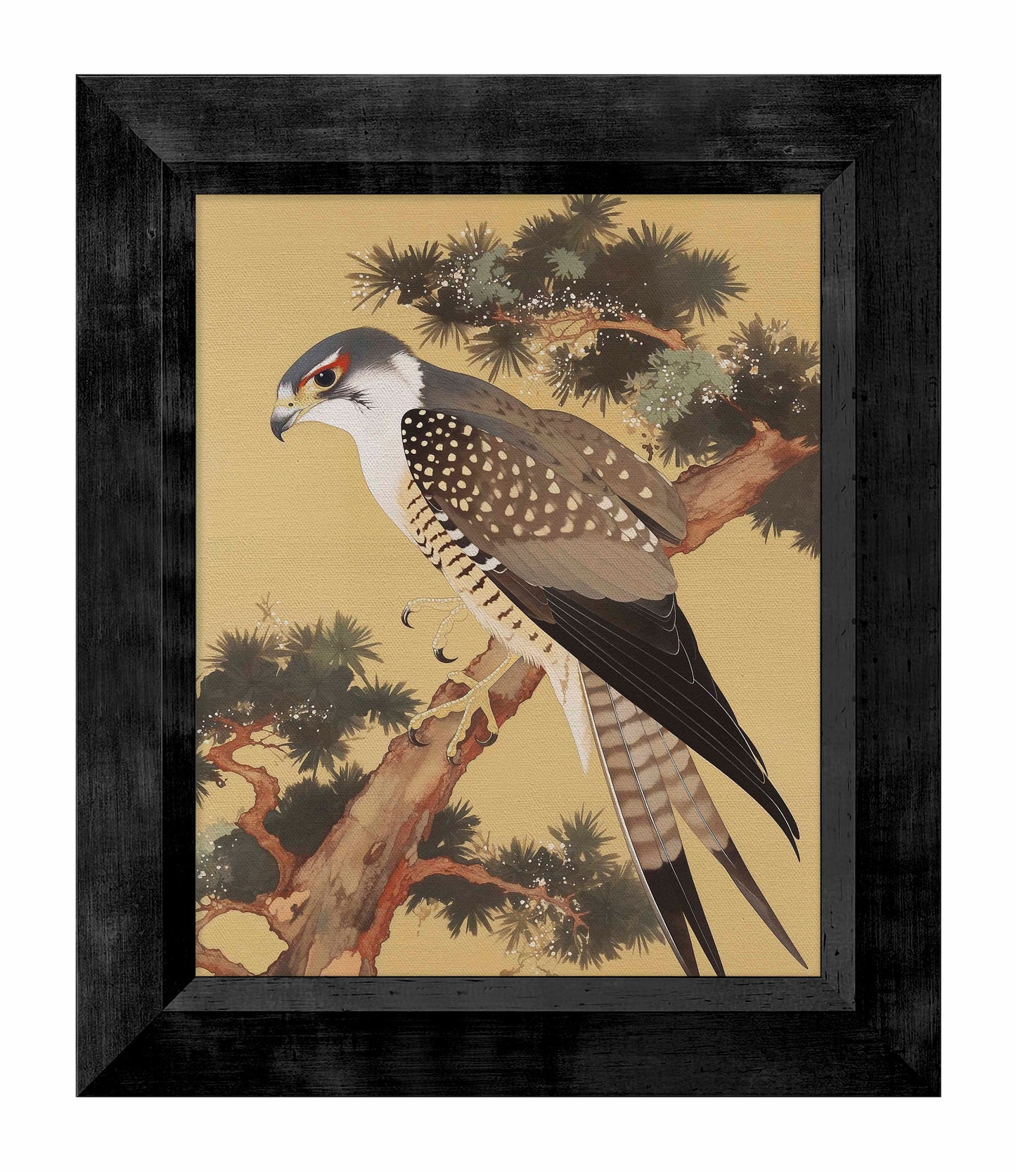 Graceful Sentinel - Falcon in Pine Grove - Limited Edition Canvas