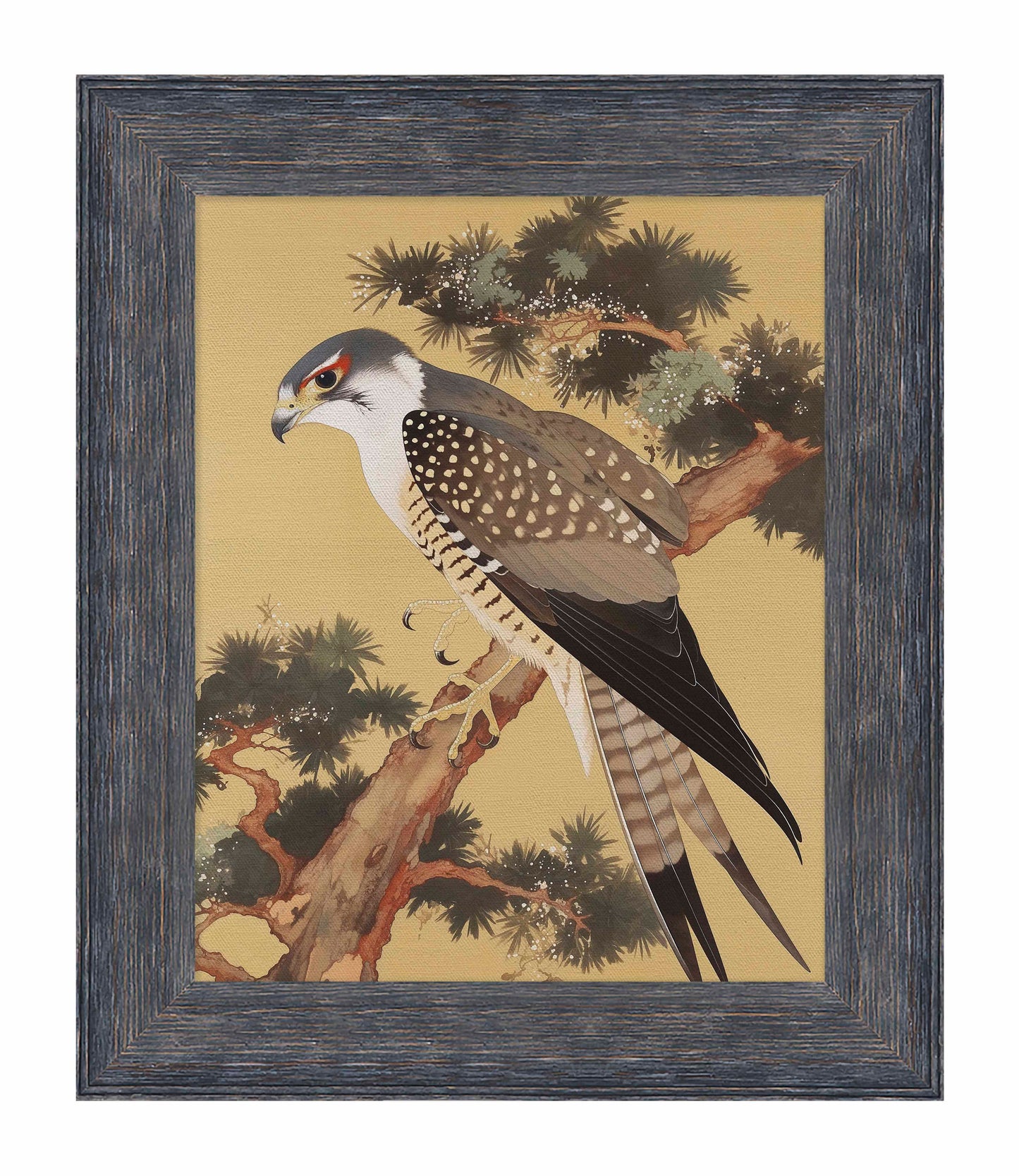 Graceful Sentinel - Falcon in Pine Grove - Limited Edition Canvas