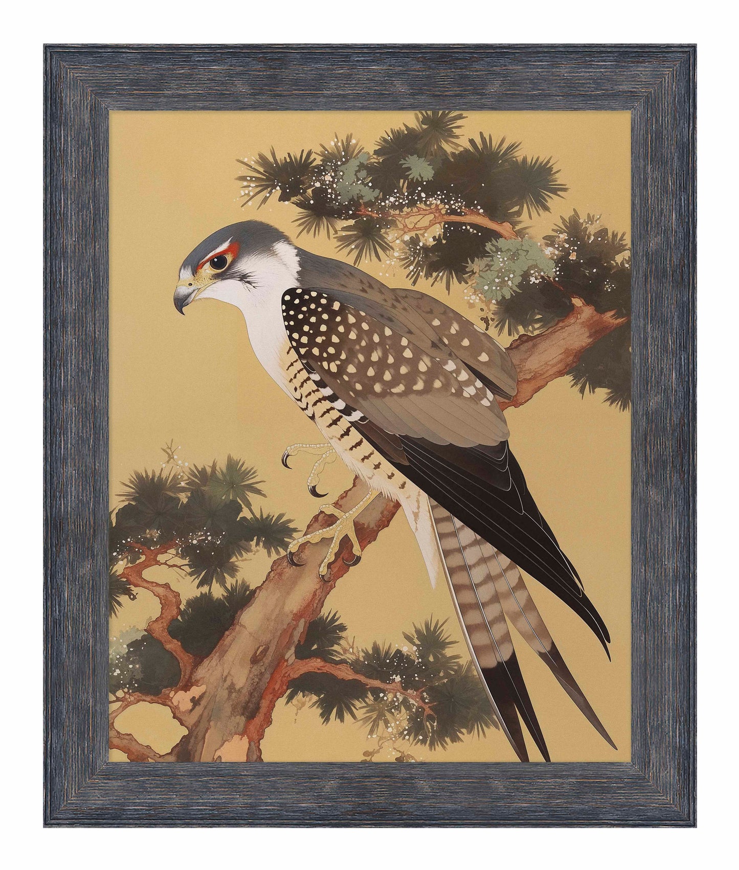 Graceful Sentinel - Falcon in Pine Grove - Limited Edition Canvas
