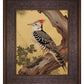 Echoes of the Forest - Woodpecker in Pine Haven - Limited Edition Canvas