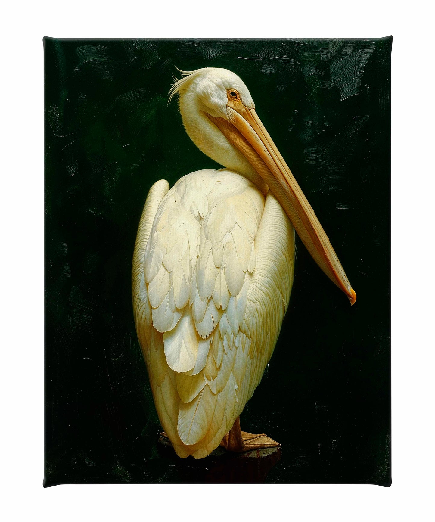Regal Poise - Pelican in Ivory Elegance - Gallery Wrapped Canvas
