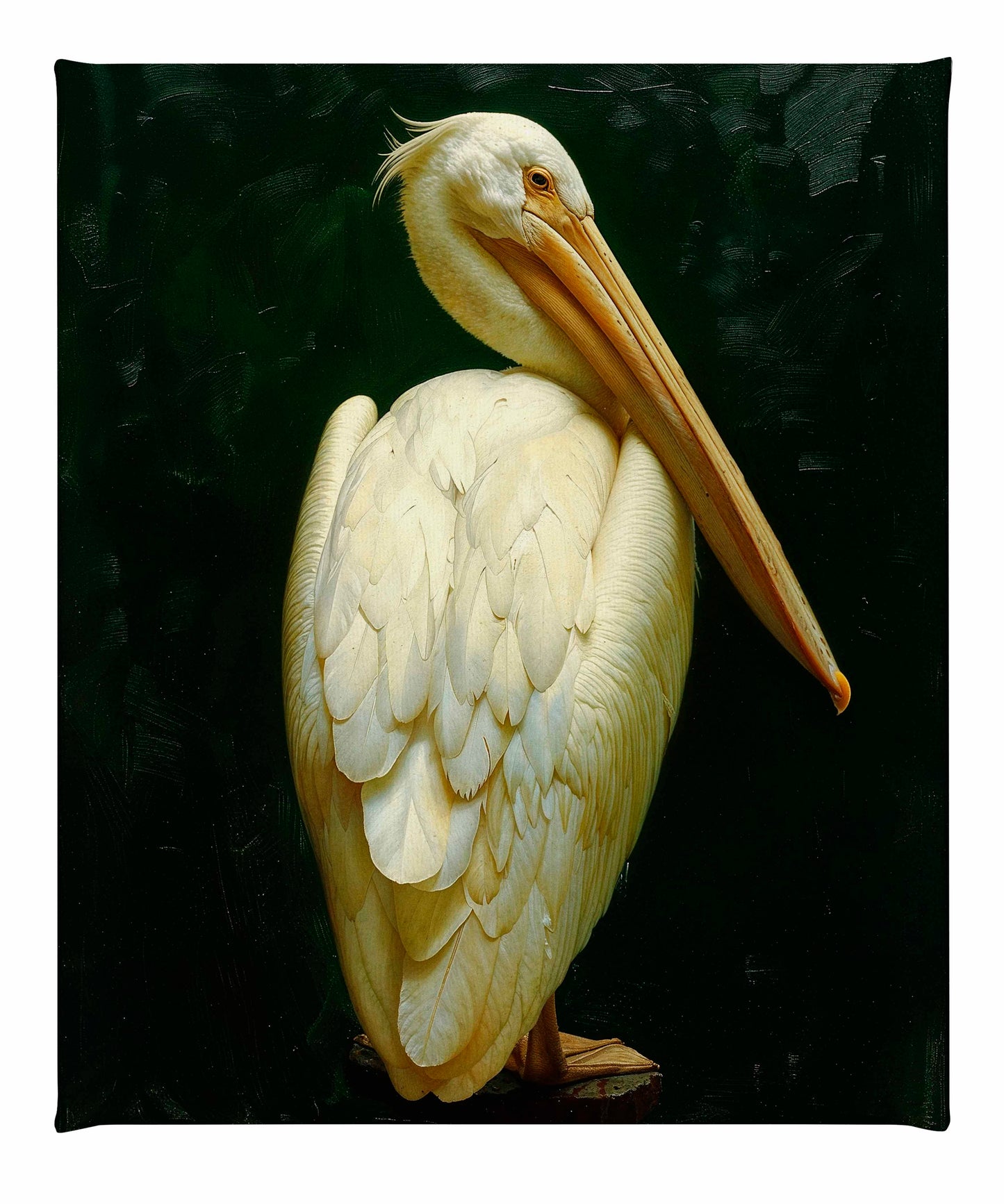 Regal Poise - Pelican in Ivory Elegance - Gallery Wrapped Canvas