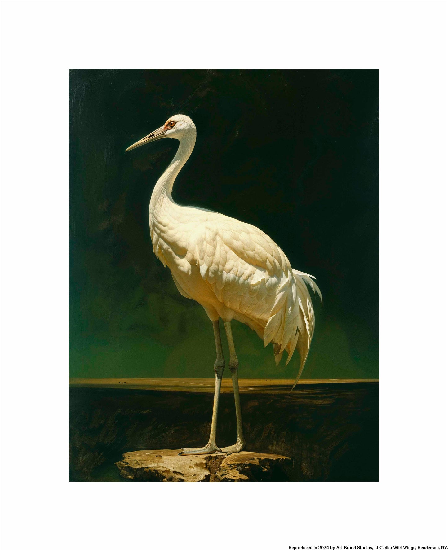Noble Grace - Crane - Art Prints