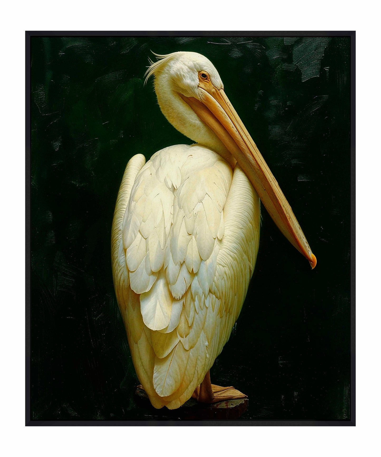 Regal Poise - Pelican in Ivory Elegance - Gallery Wrapped Canvas