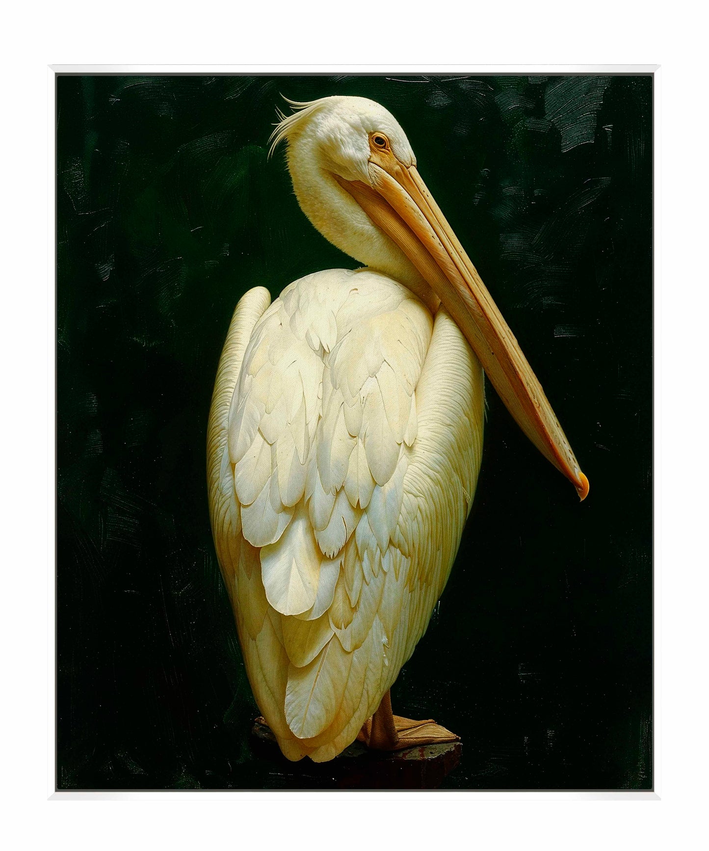 Regal Poise - Pelican in Ivory Elegance - Gallery Wrapped Canvas