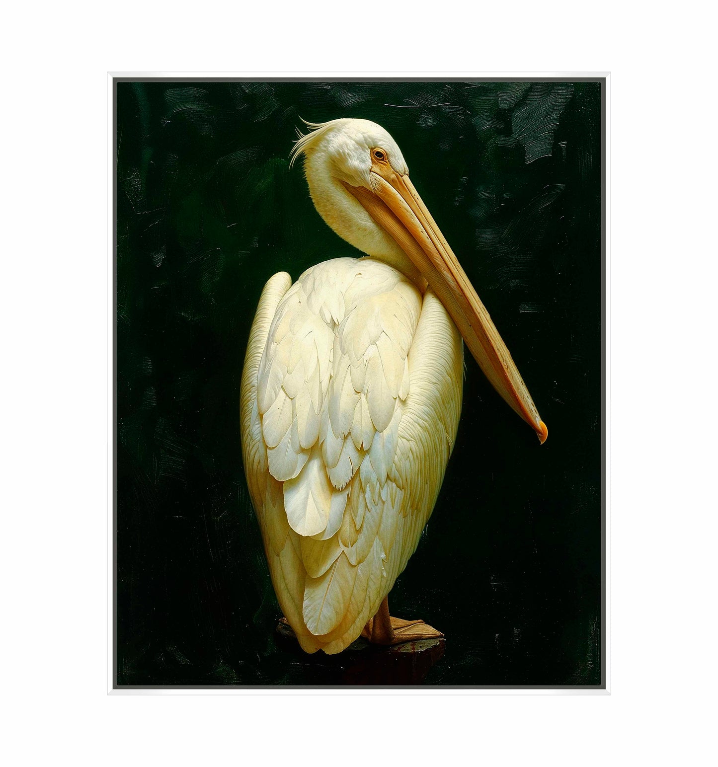 Regal Poise - Pelican in Ivory Elegance - Gallery Wrapped Canvas