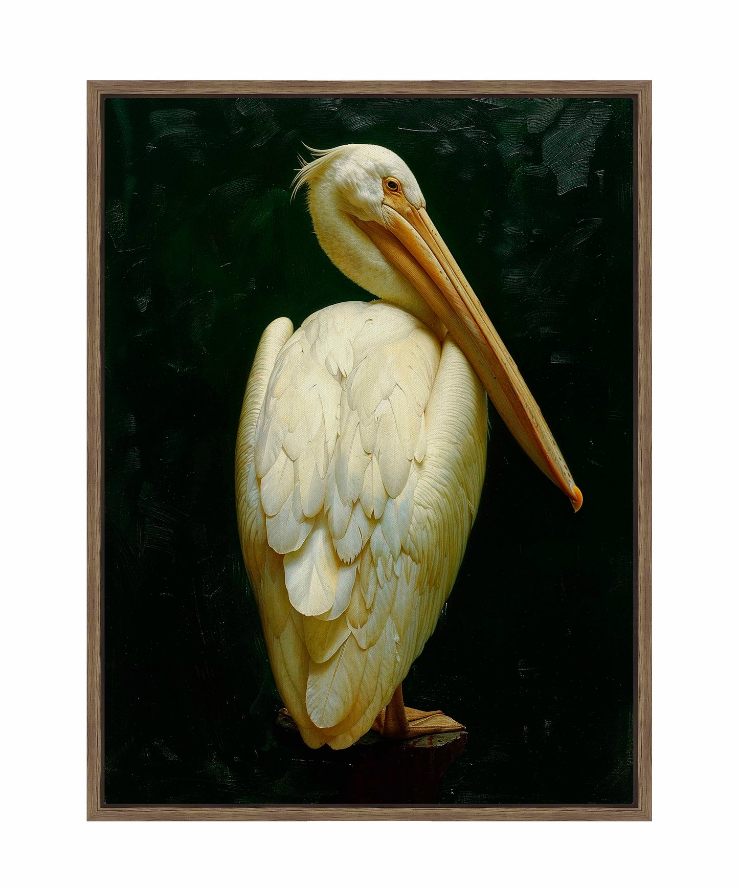 Regal Poise - Pelican in Ivory Elegance - Gallery Wrapped Canvas