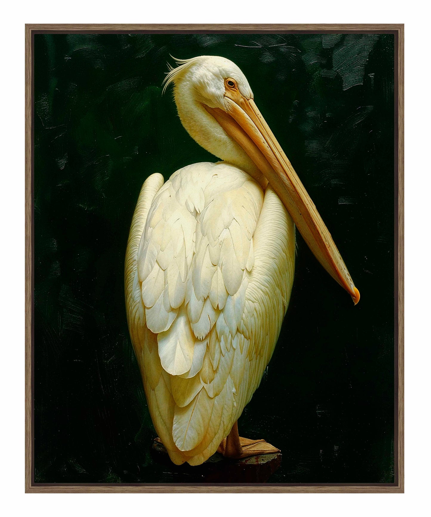 Regal Poise - Pelican in Ivory Elegance - Gallery Wrapped Canvas