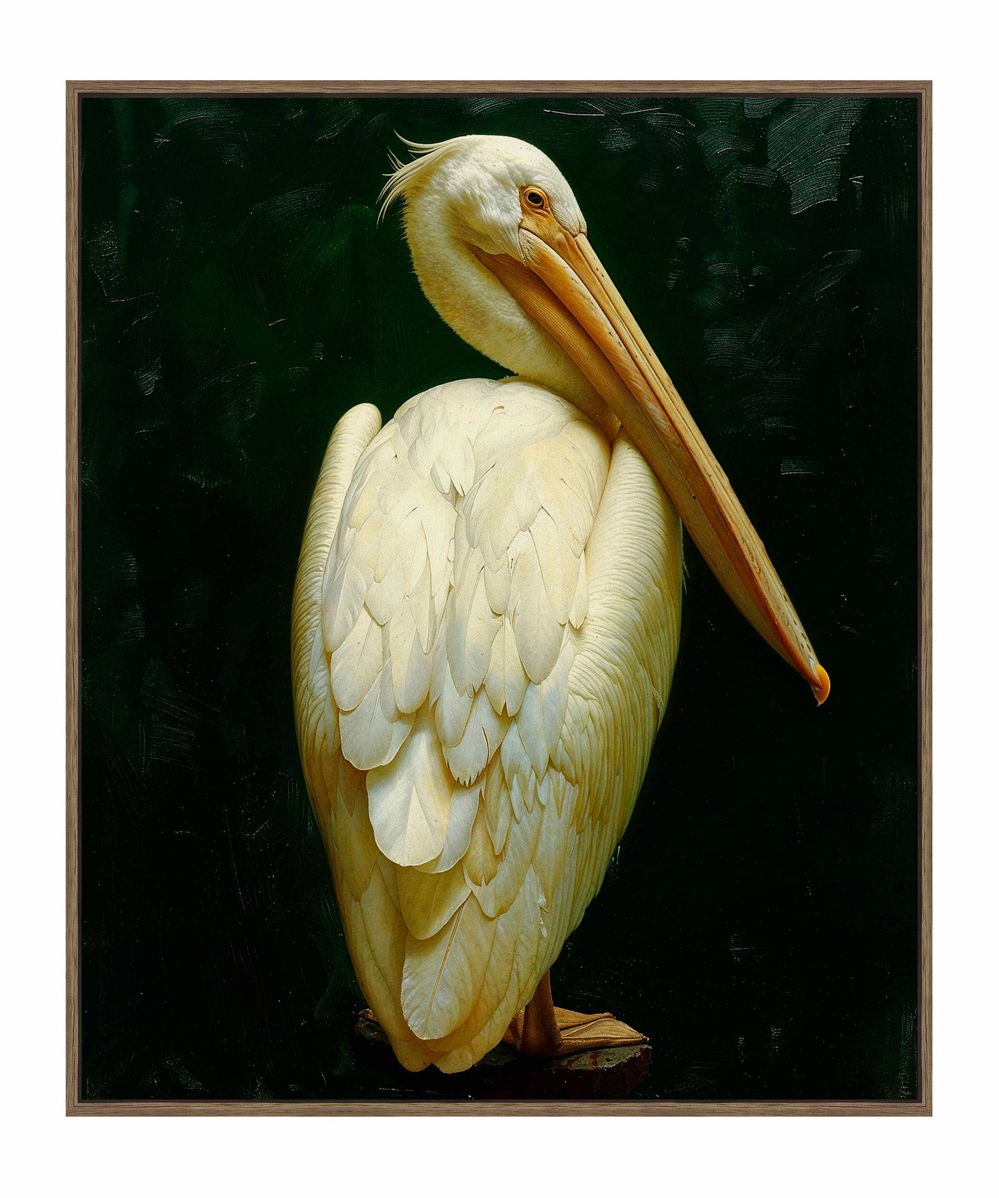 Regal Poise - Pelican in Ivory Elegance - Gallery Wrapped Canvas