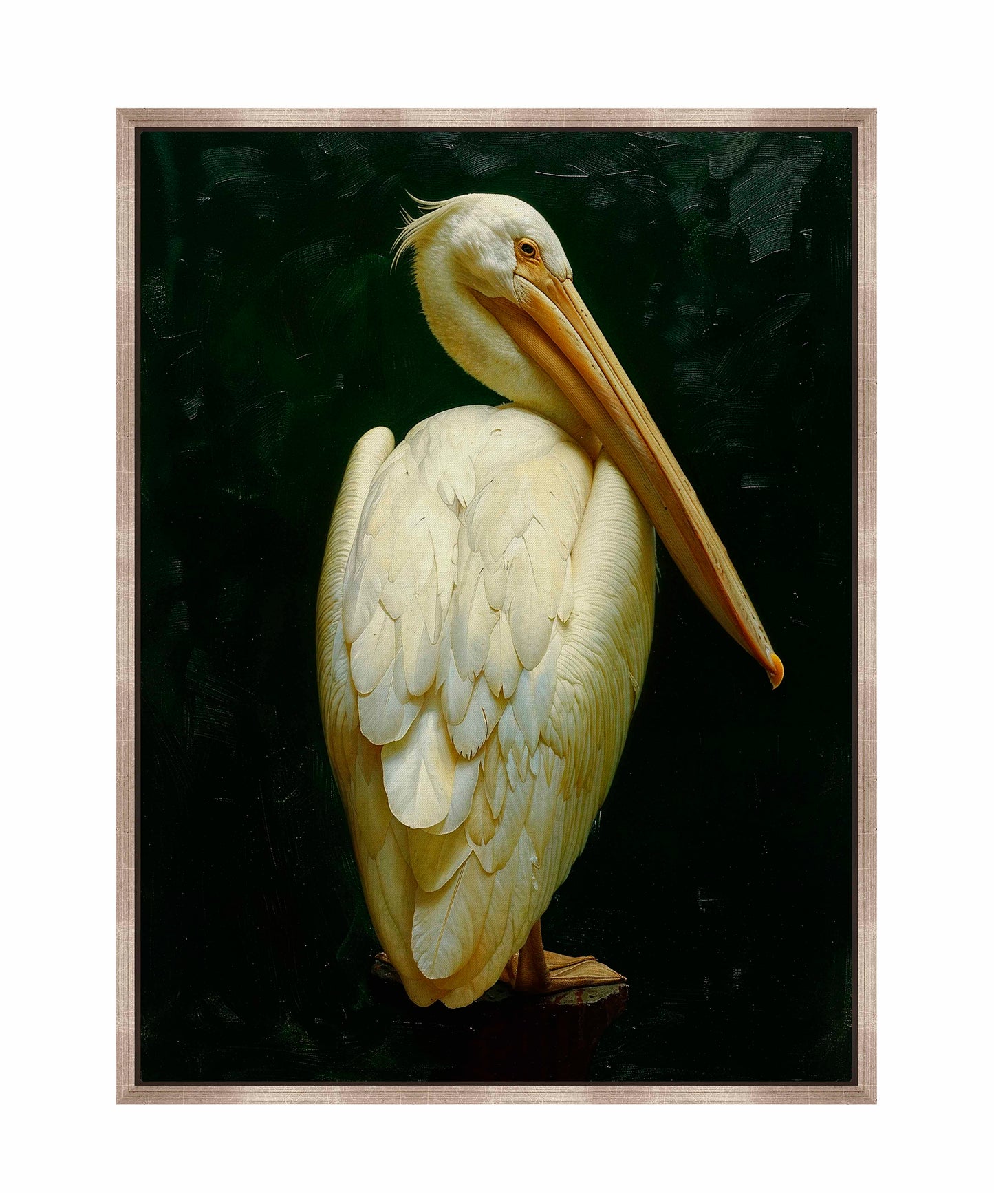 Regal Poise - Pelican in Ivory Elegance - Gallery Wrapped Canvas