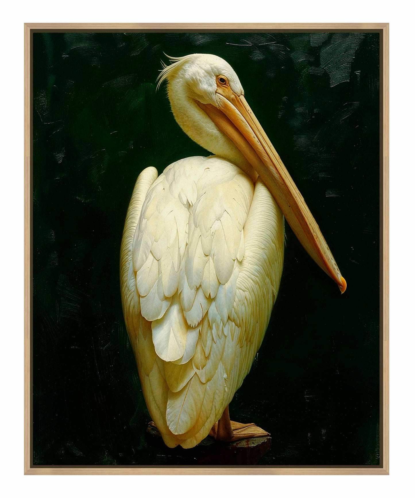 Regal Poise - Pelican in Ivory Elegance - Gallery Wrapped Canvas