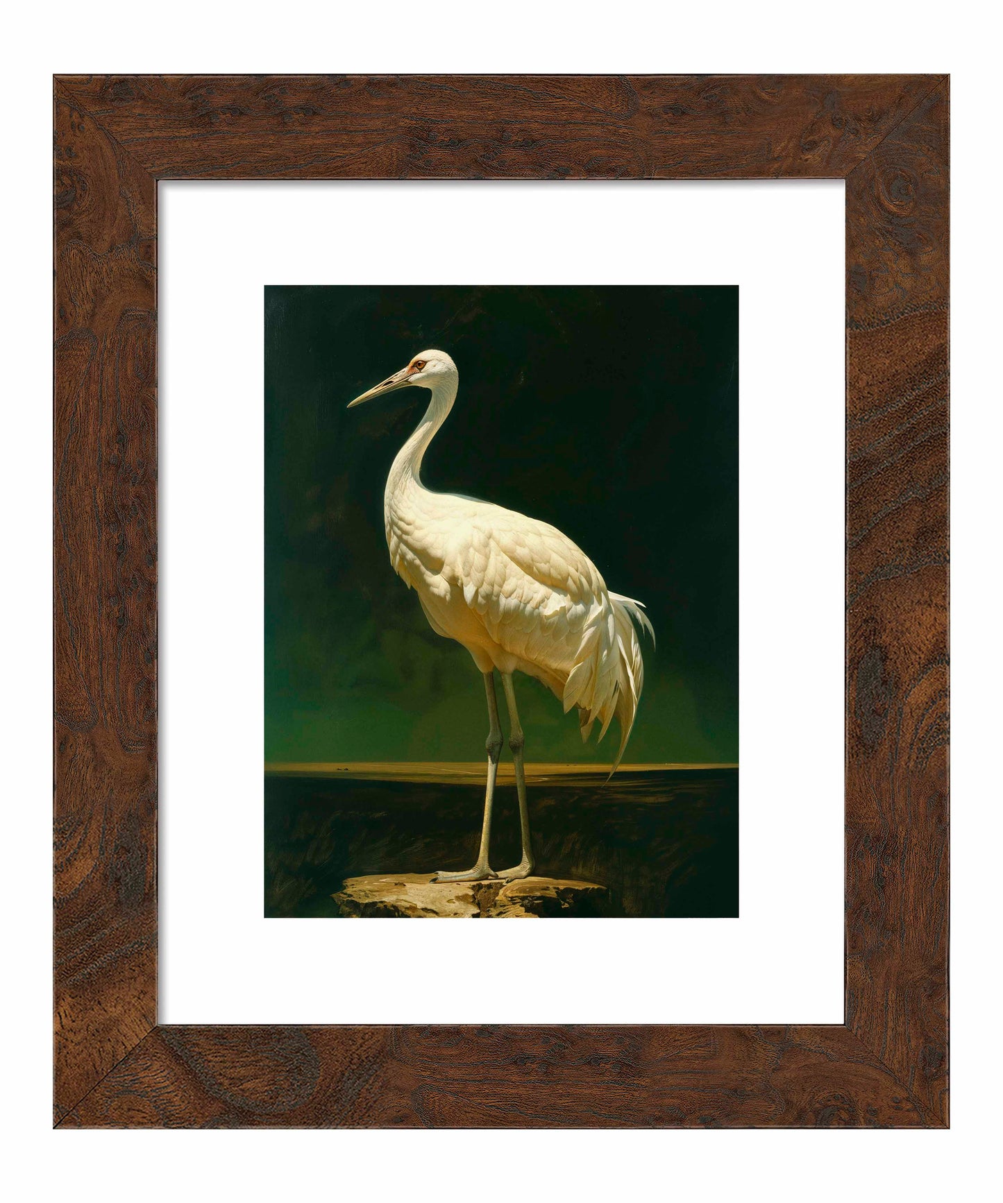 Noble Grace - Crane - Art Prints