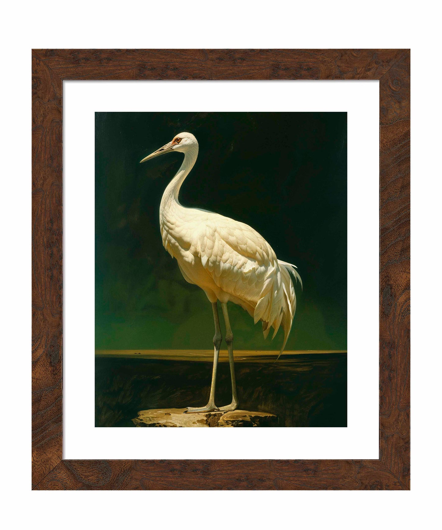 Noble Grace - Crane - Art Prints