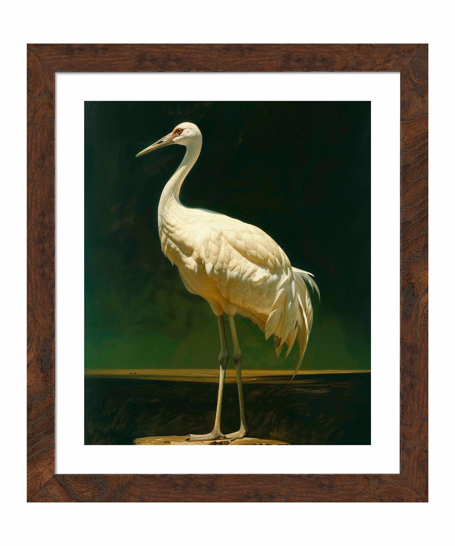 Noble Grace - Crane - Art Prints