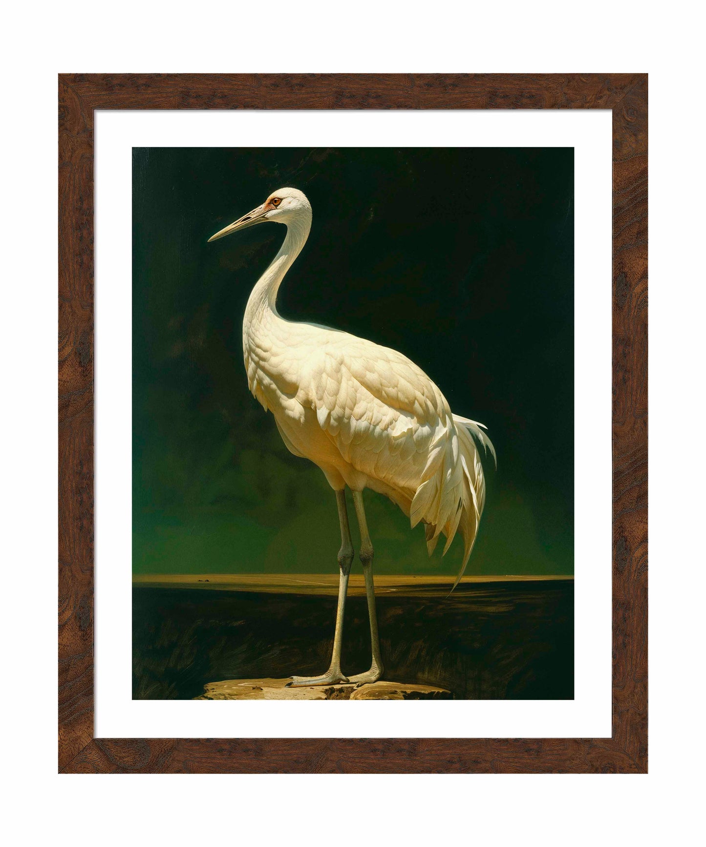 Noble Grace - Crane - Art Prints