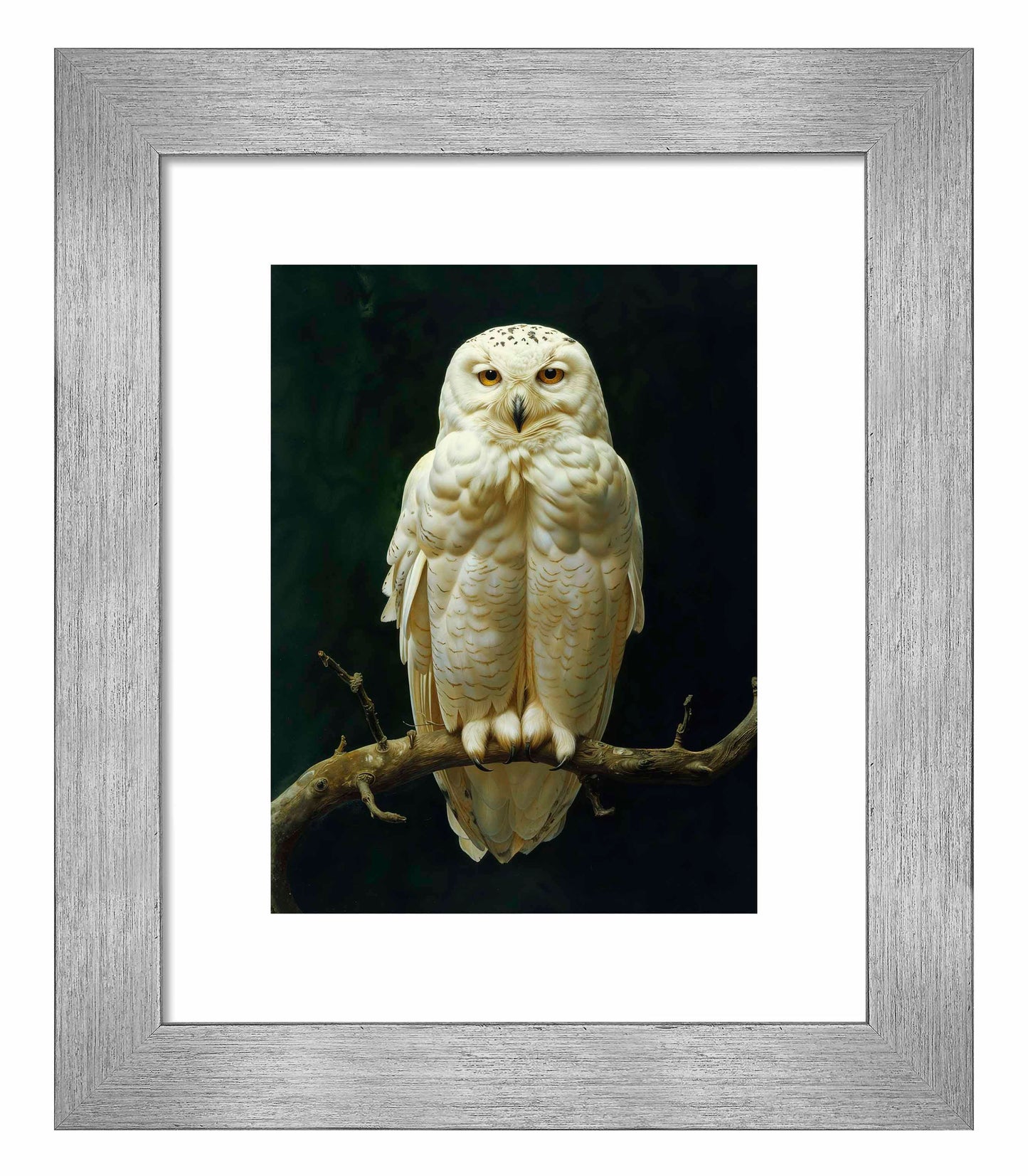 Noble Guardian - Snowy Owl - Art Prints