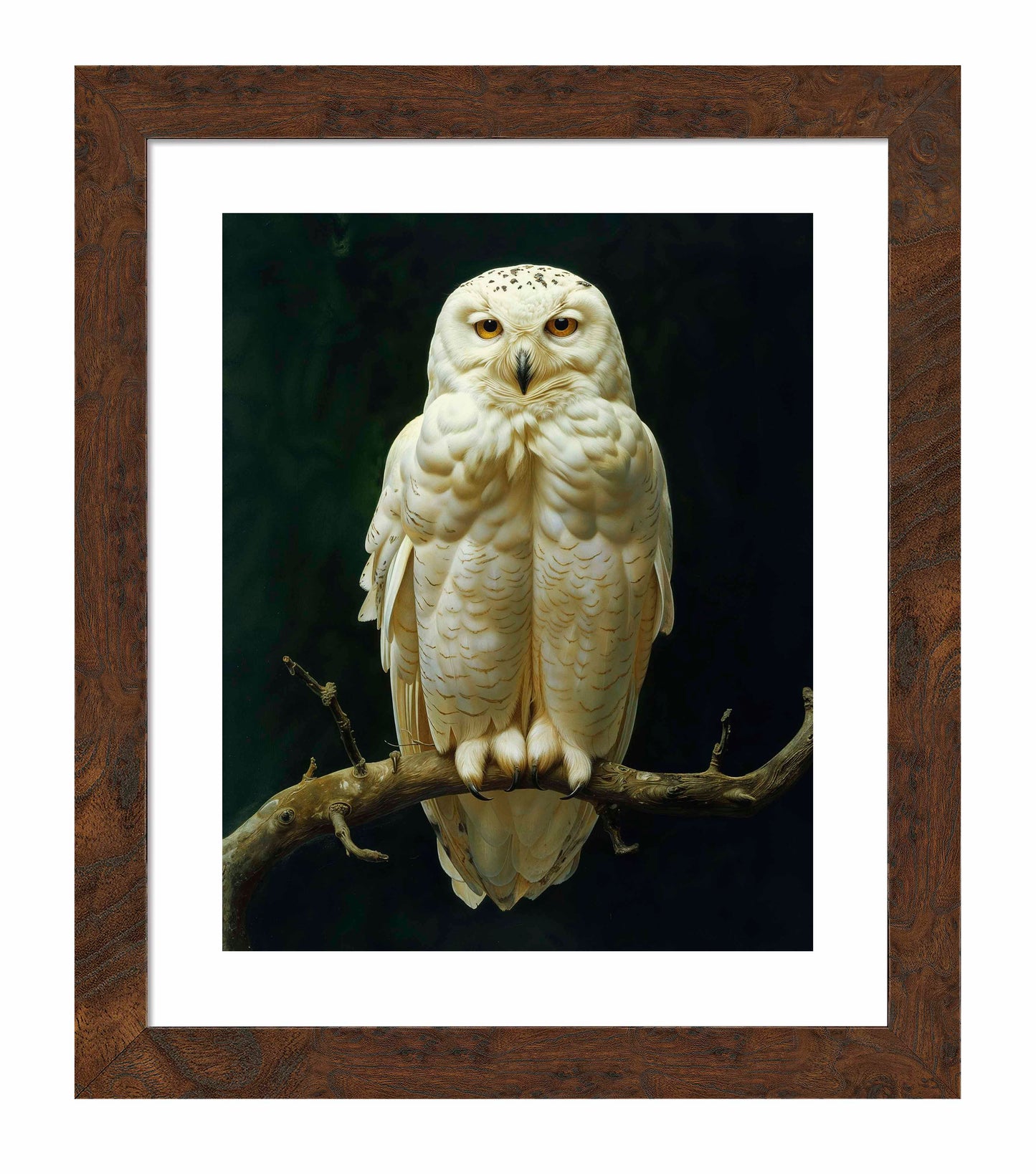 Noble Guardian - Snowy Owl - Art Prints