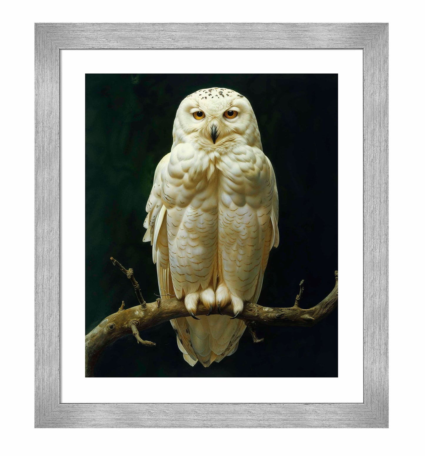 Noble Guardian - Snowy Owl - Art Prints