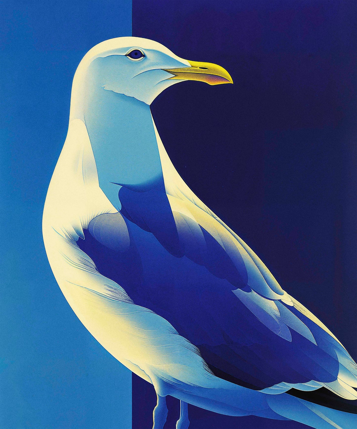 Luminous Sentinel - Seagull in Azure Light - Limited Edition Canvas