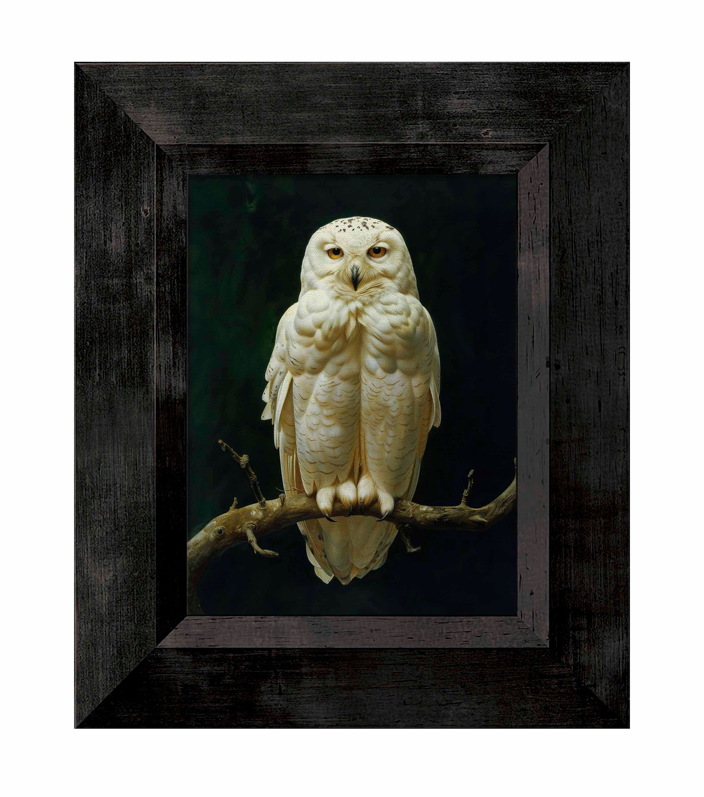 Noble Guardian - Snowy Owl - Limited Edition Canvas