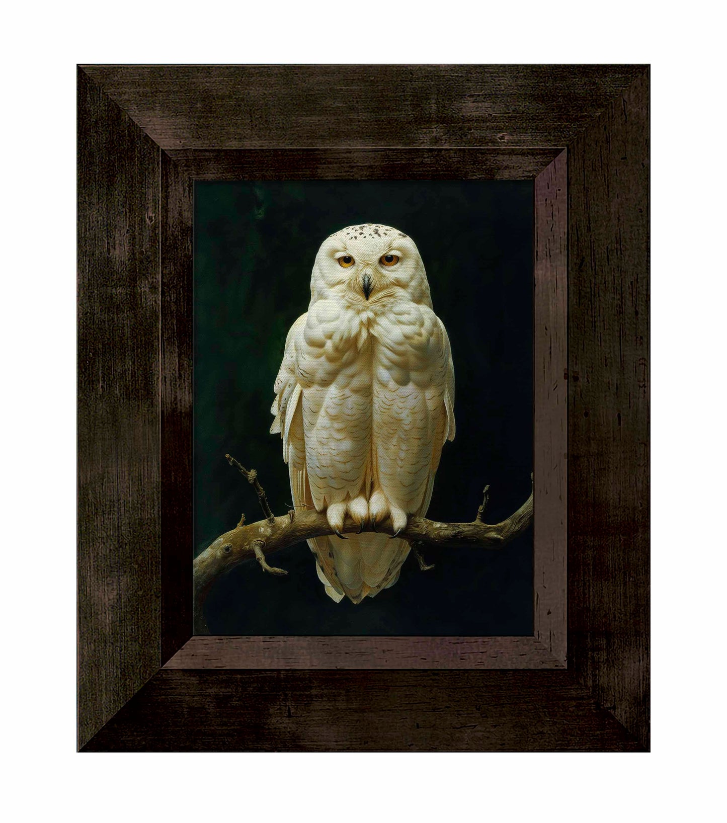 Noble Guardian - Snowy Owl - Limited Edition Canvas