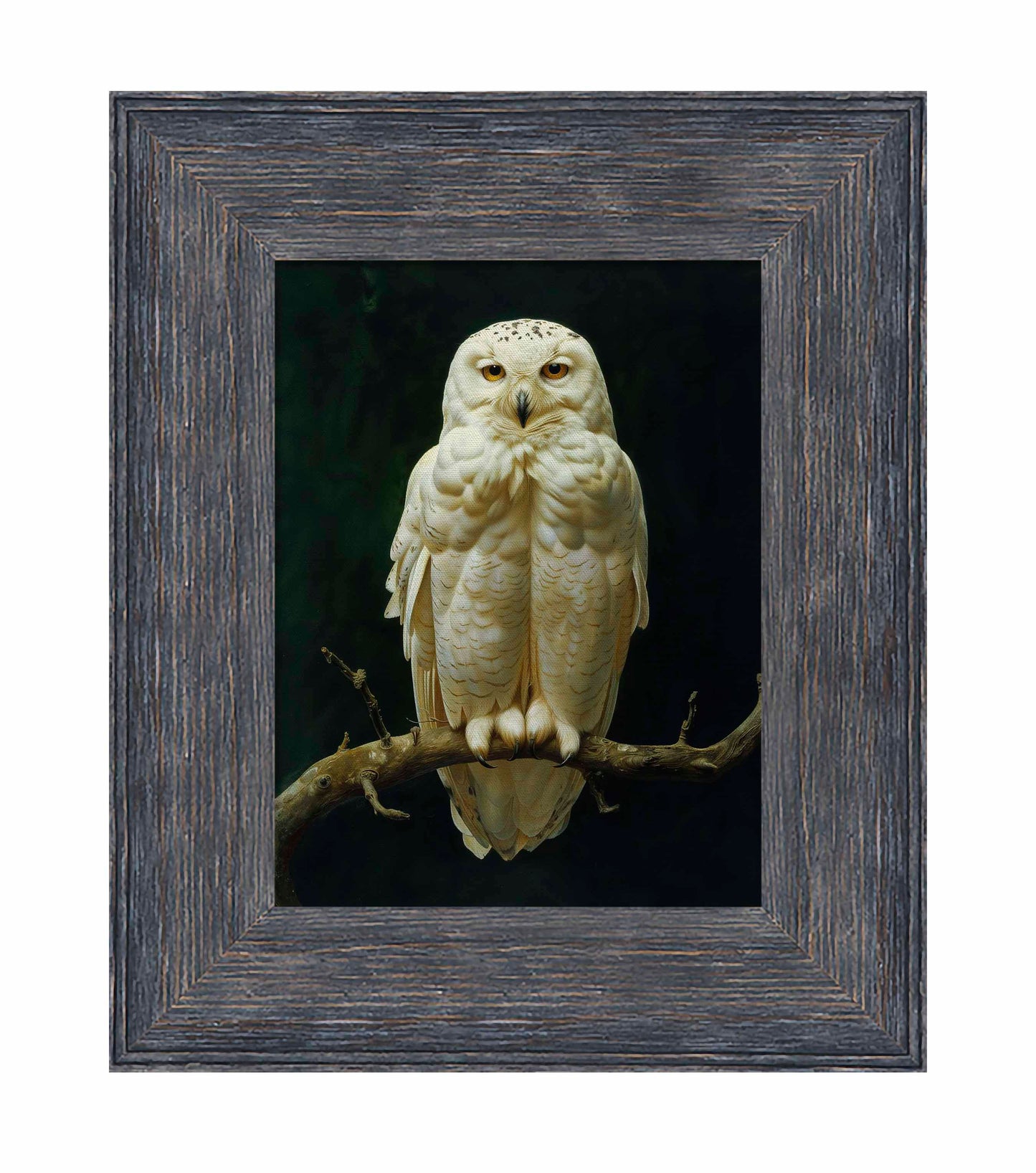 Noble Guardian - Snowy Owl - Limited Edition Canvas