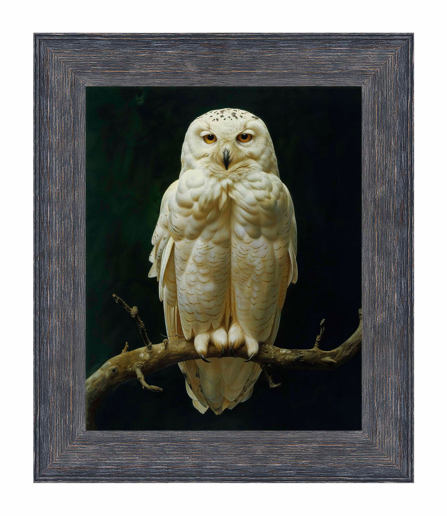 Noble Guardian - Snowy Owl - Limited Edition Canvas