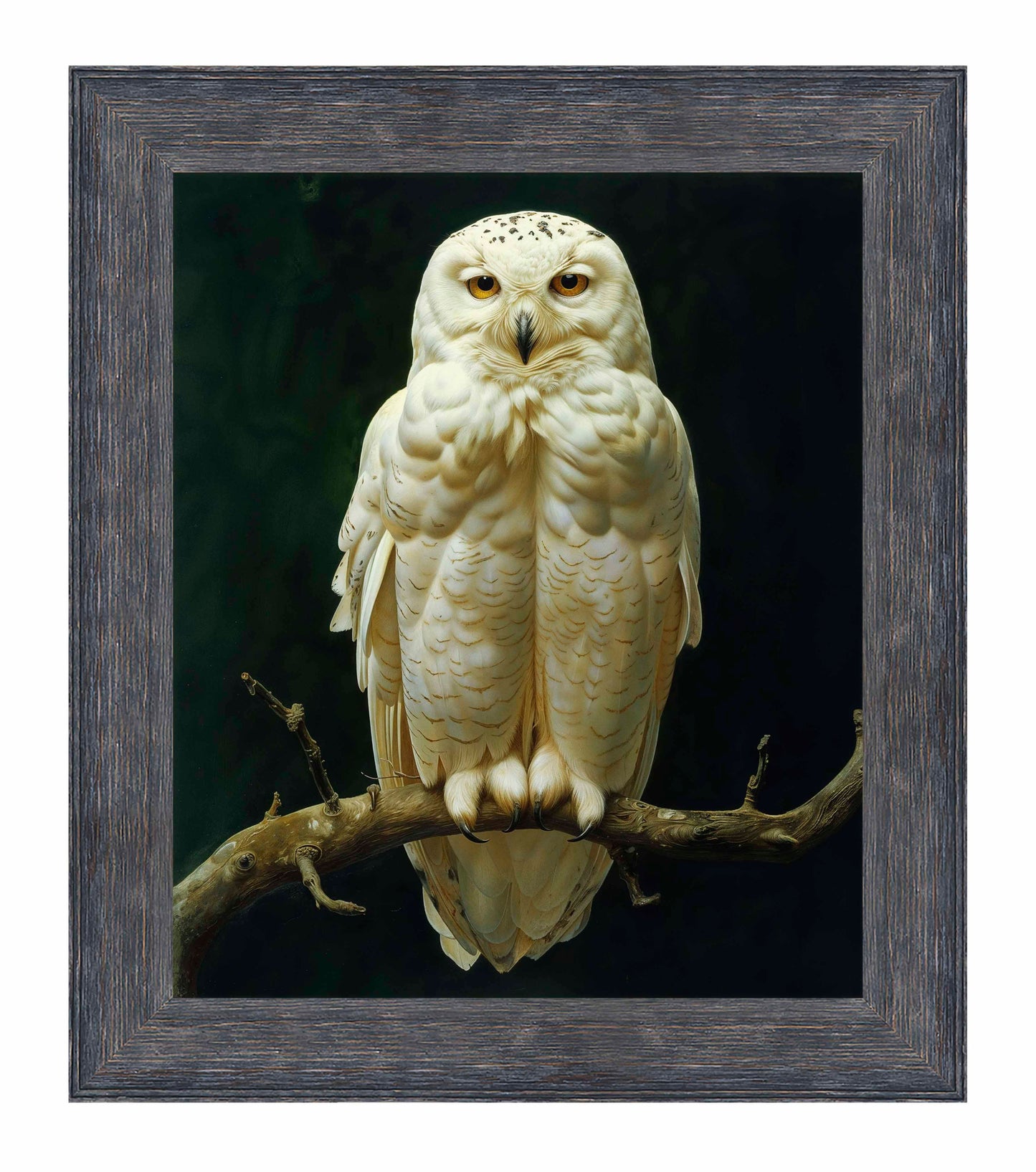 Noble Guardian - Snowy Owl - Limited Edition Canvas