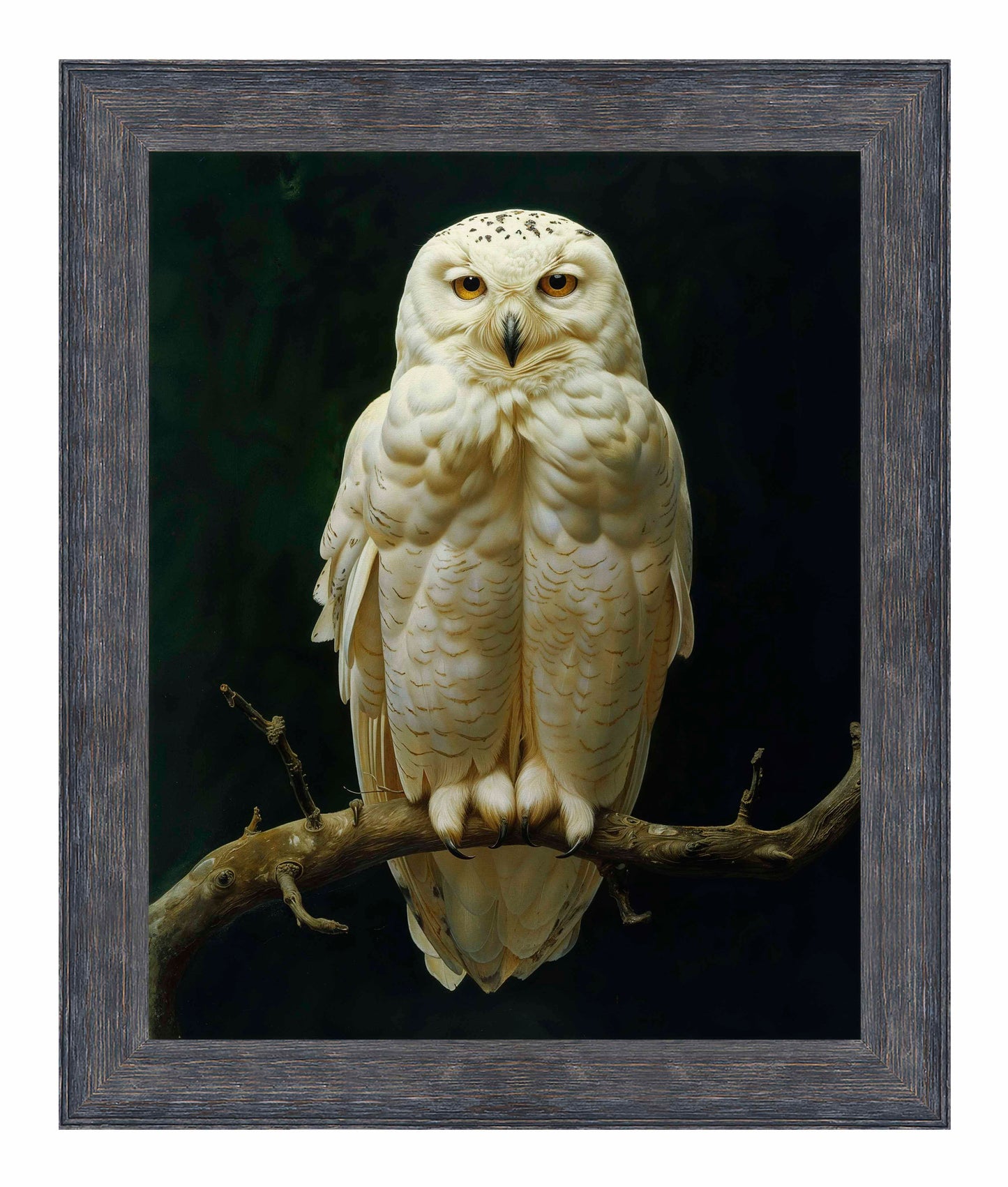 Noble Guardian - Snowy Owl - Limited Edition Canvas