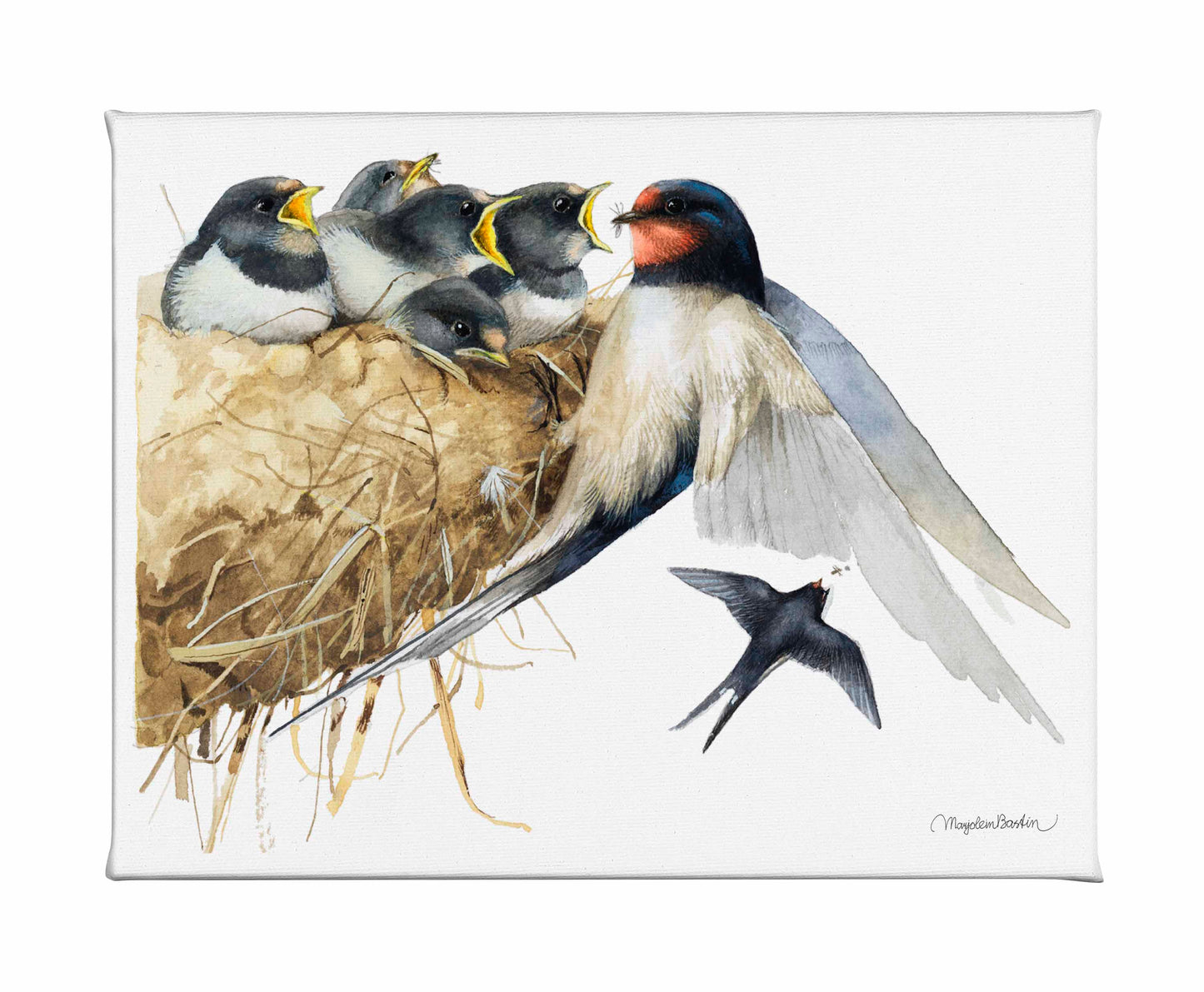 Hungry Mouths To Feed - Gallery Wrapped Canvas