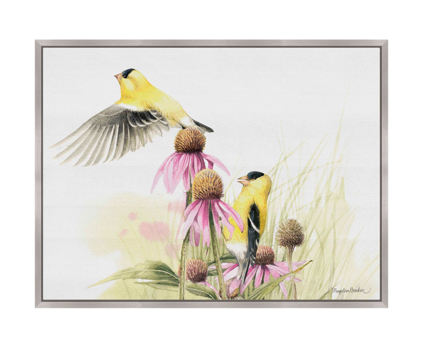 Coneflower Feast - Gallery Wrapped Canvas