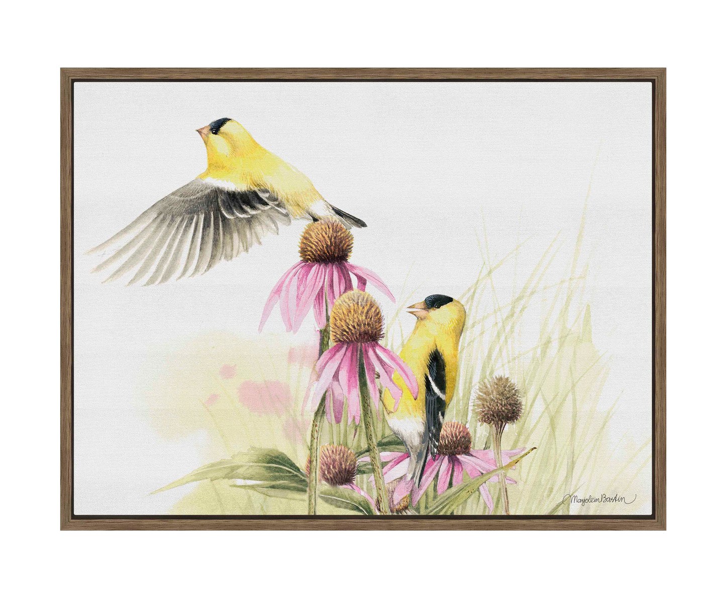 Coneflower Feast - Gallery Wrapped Canvas