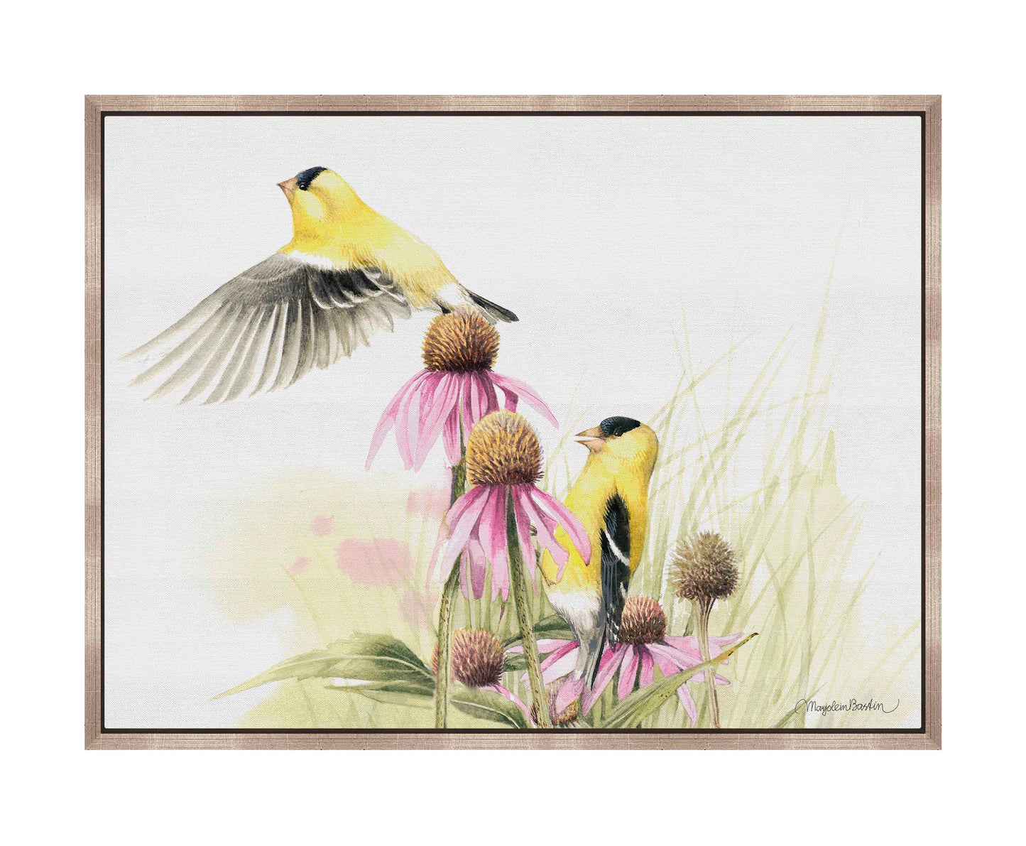 Coneflower Feast - Gallery Wrapped Canvas