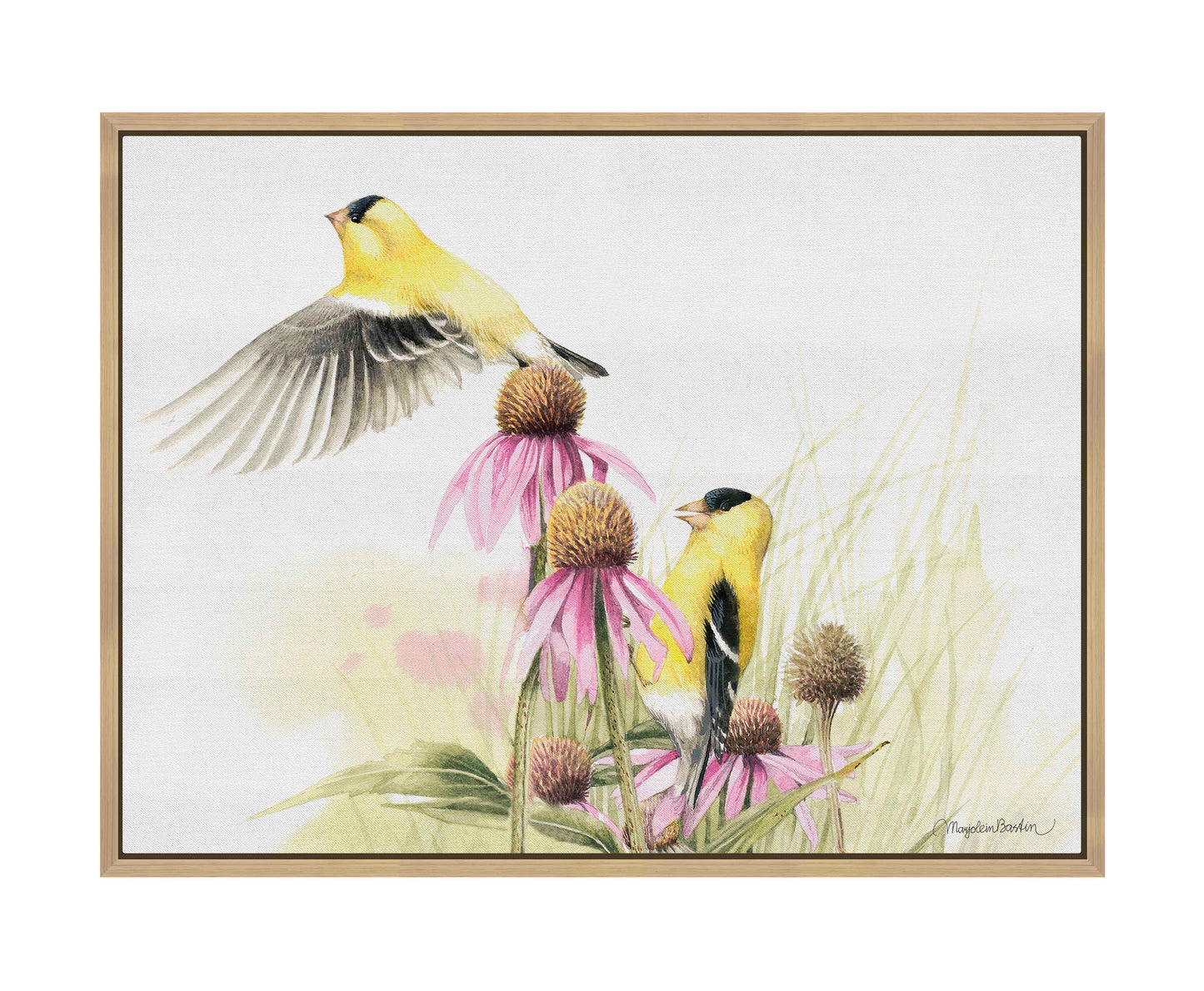 Coneflower Feast - Gallery Wrapped Canvas