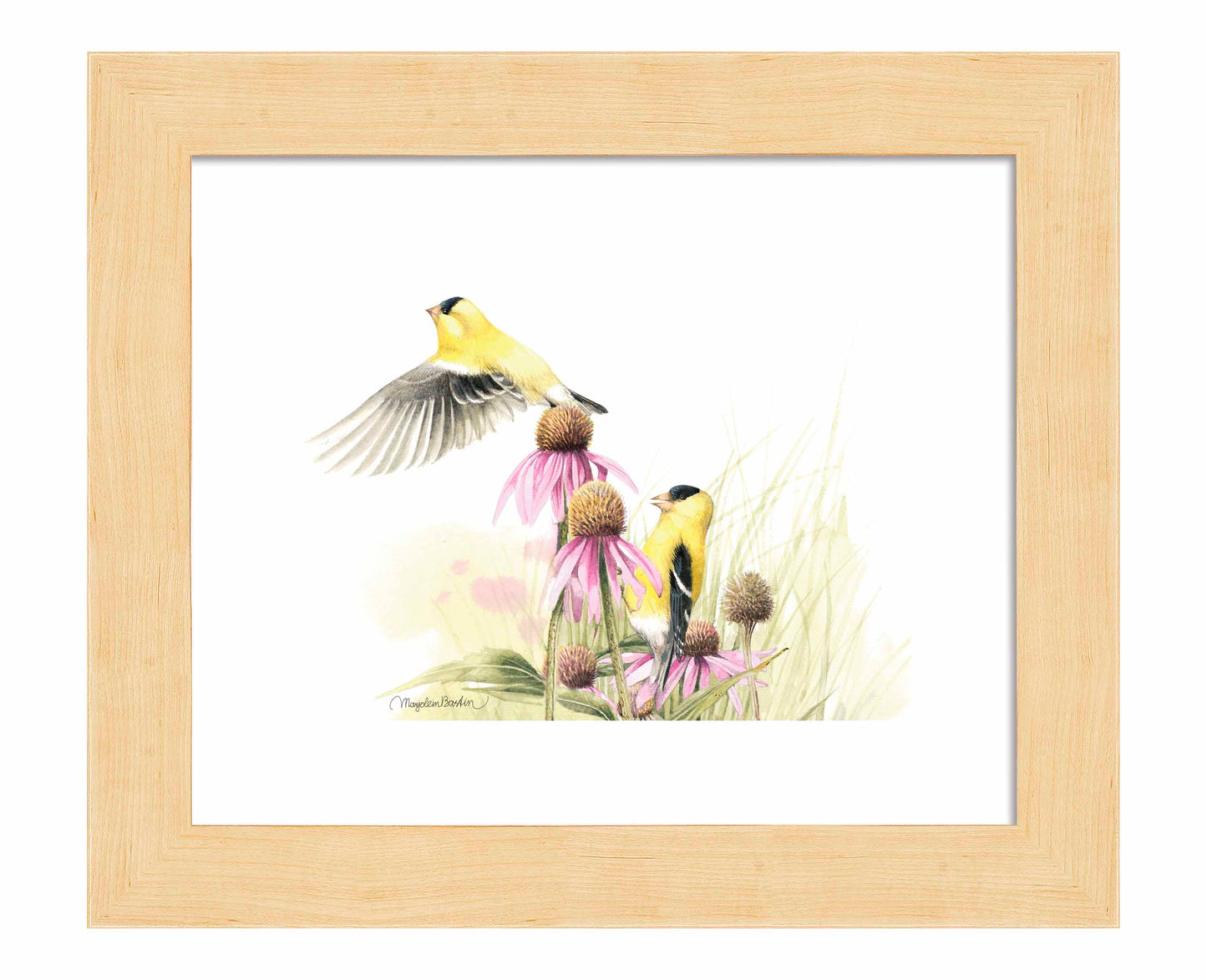 Coneflower Feast - Art Prints