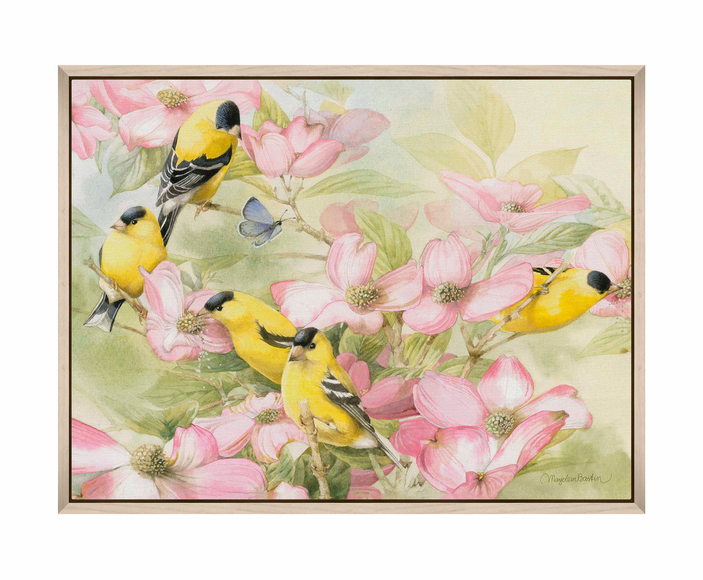 Crowded Dogwood - Gallery Wrapped Canvas