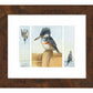 Resting Between Pursuit - Art Prints