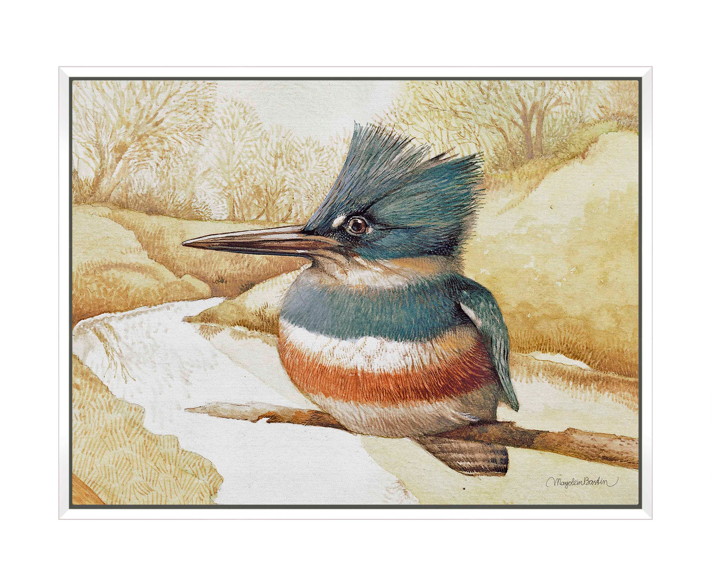 Kingfisher on Fishing River - Gallery Wrapped Canvas