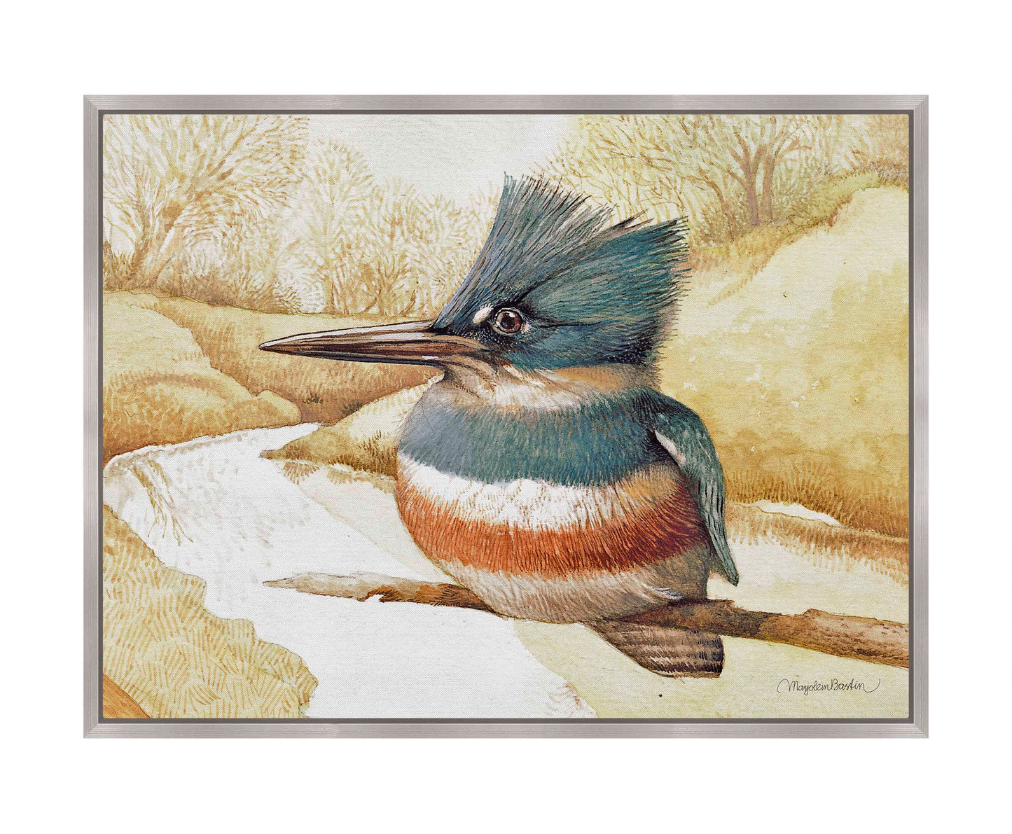 Kingfisher on Fishing River - Gallery Wrapped Canvas