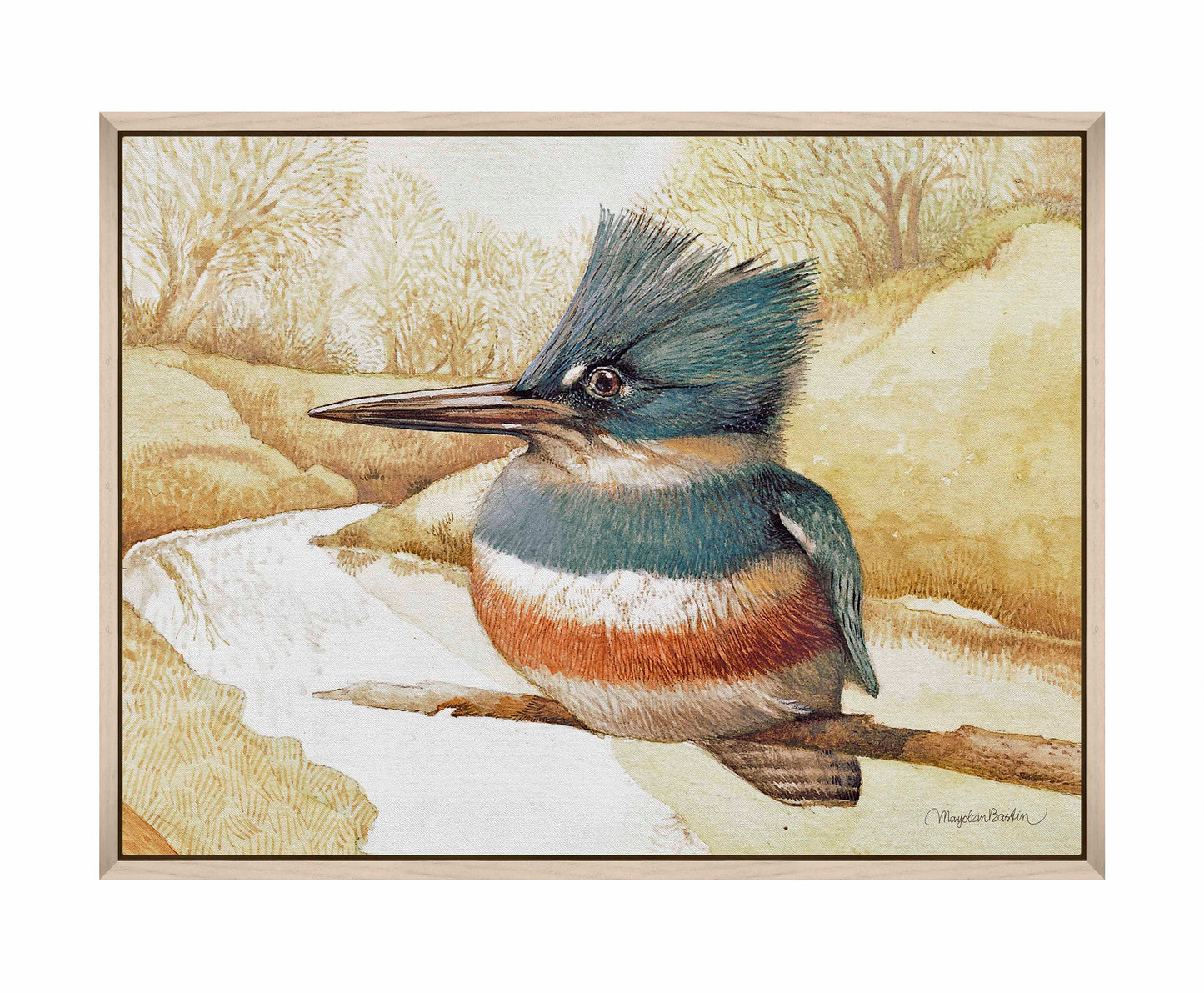 Kingfisher on Fishing River - Gallery Wrapped Canvas