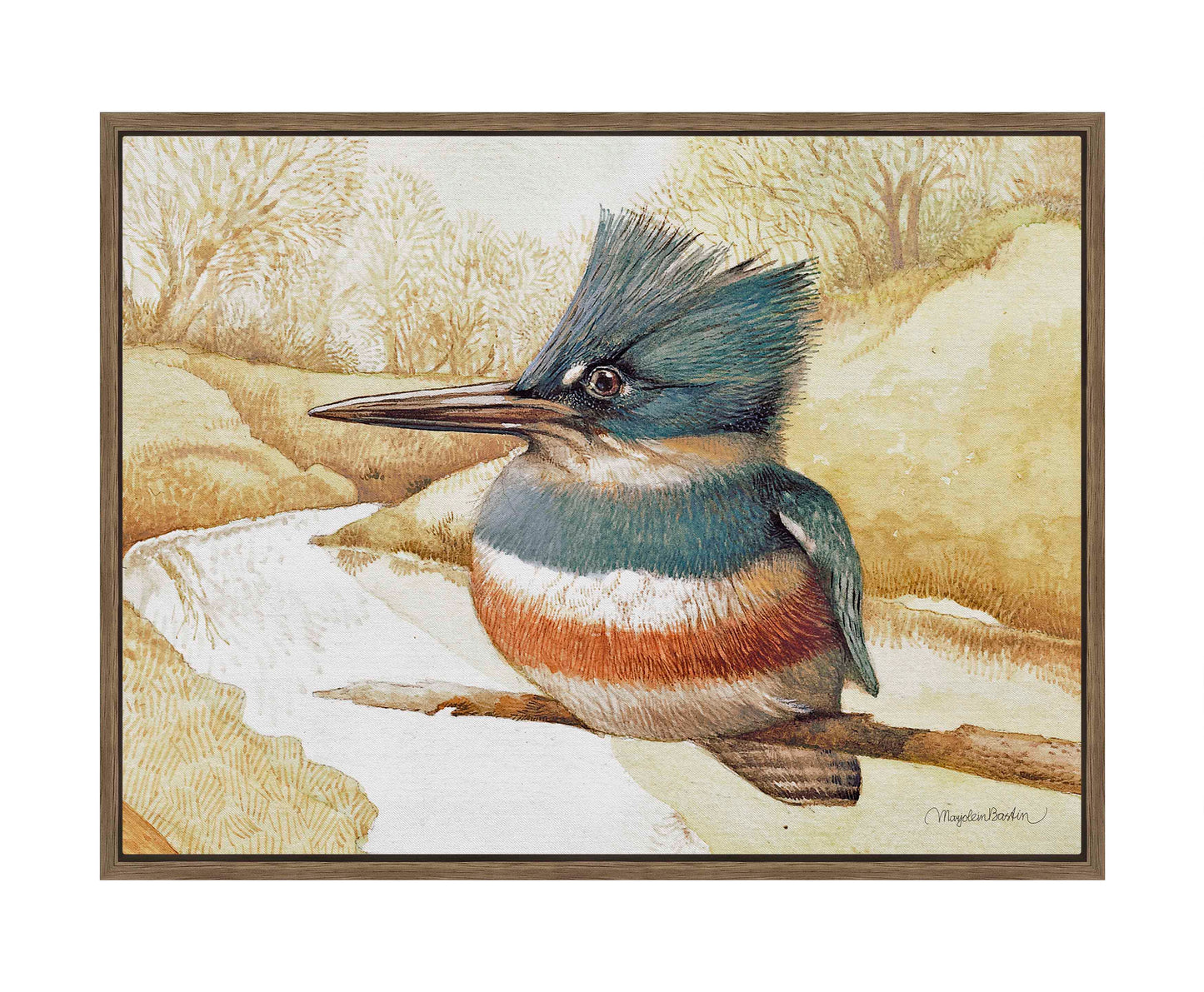 Kingfisher on Fishing River - Gallery Wrapped Canvas