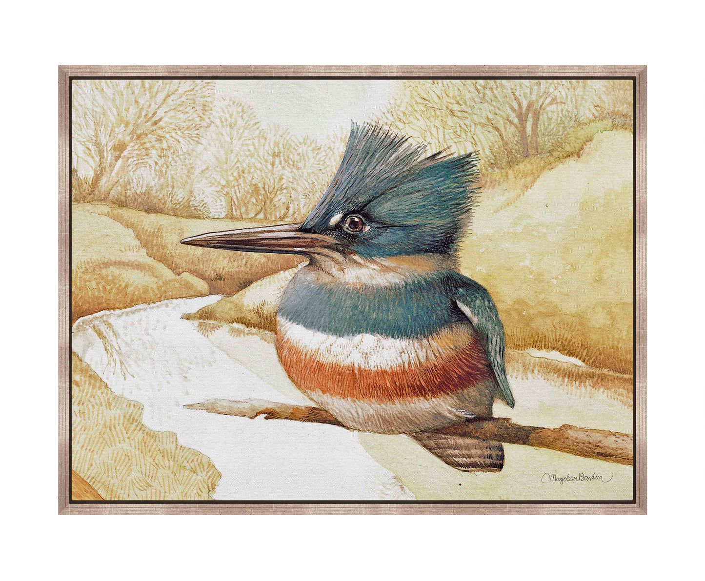 Kingfisher on Fishing River - Gallery Wrapped Canvas