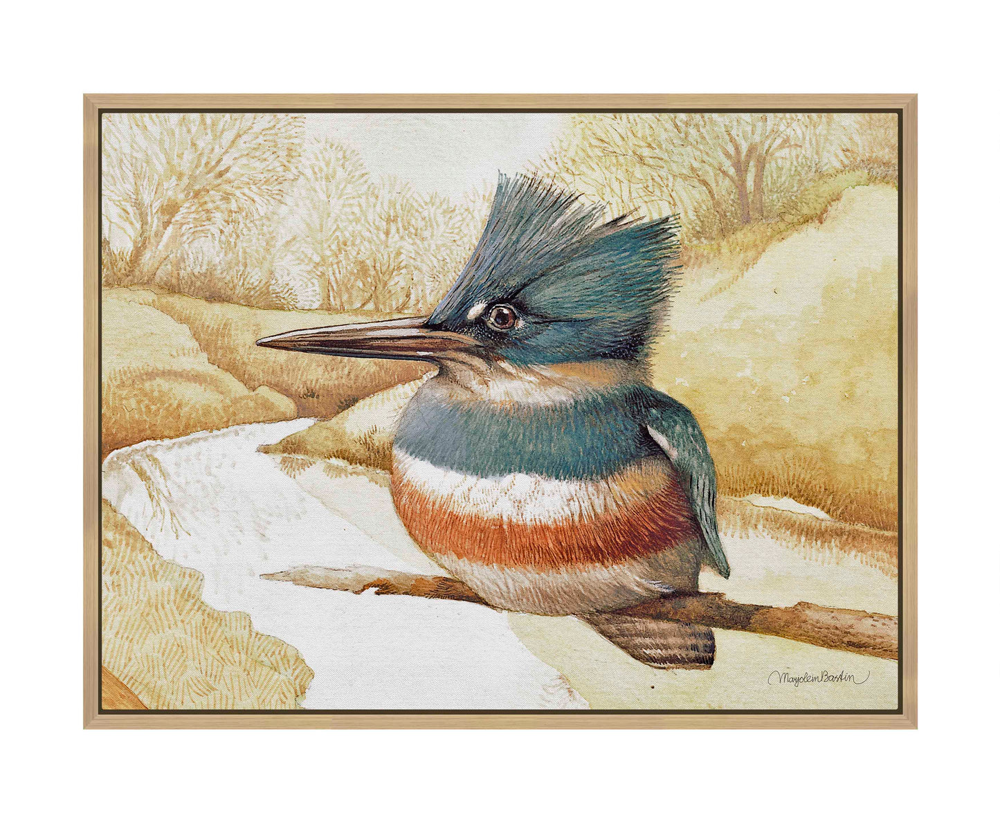 Kingfisher on Fishing River - Gallery Wrapped Canvas